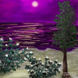 Морской пейзаж 