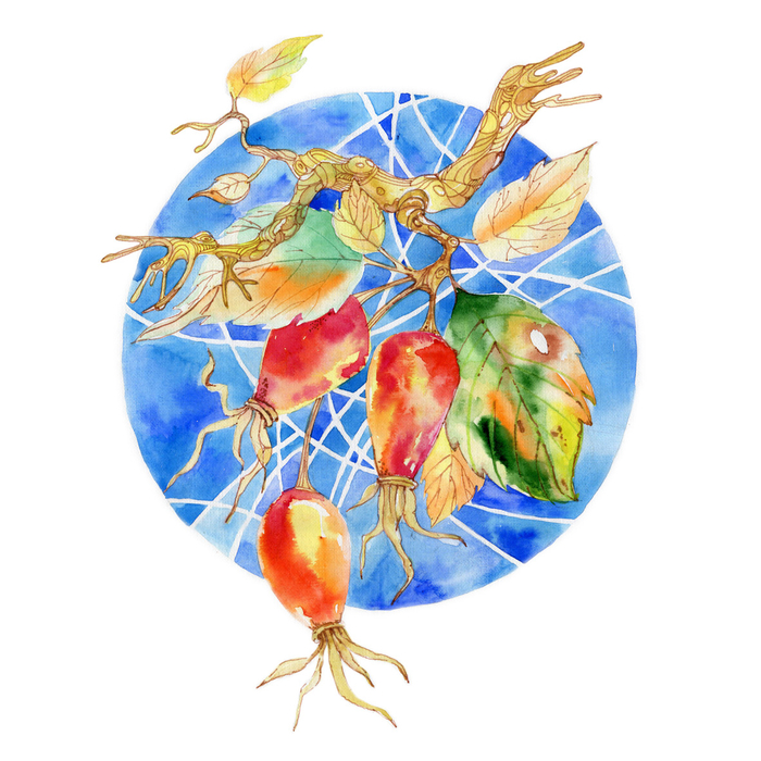 салфетка для декупажа 2