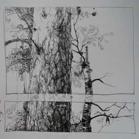 Чудик на берёзе