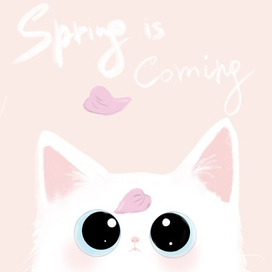 Весенний кот для открытки 