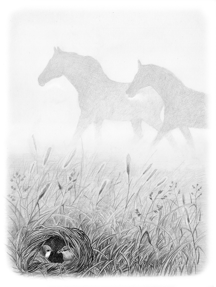 Иллюстрация к рассказу Виталия Бианки "Лесные домишки"