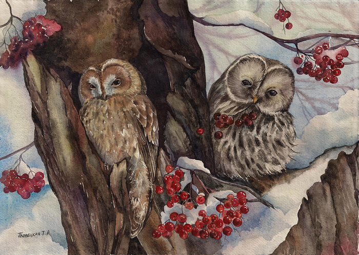 Рябиновое утро