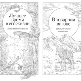 "Долгая дорога домой", (иллюстрации -4)