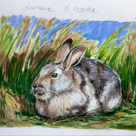 Зайчик в осоке. Скетч