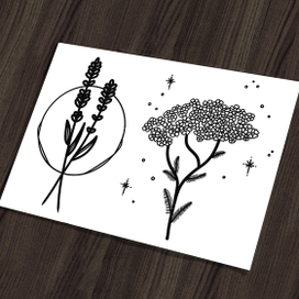 Пример флеш-сета в чб минимализме