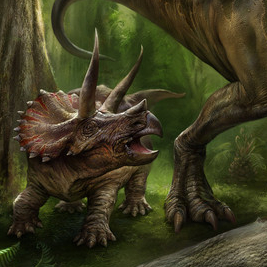 Трицератопс и тираннозавр. Палеонтология