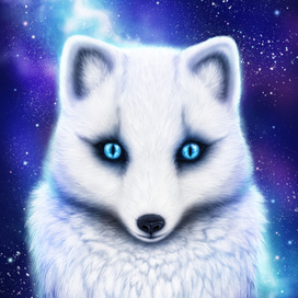 Blue fox