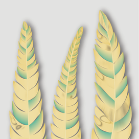 Золотые перья