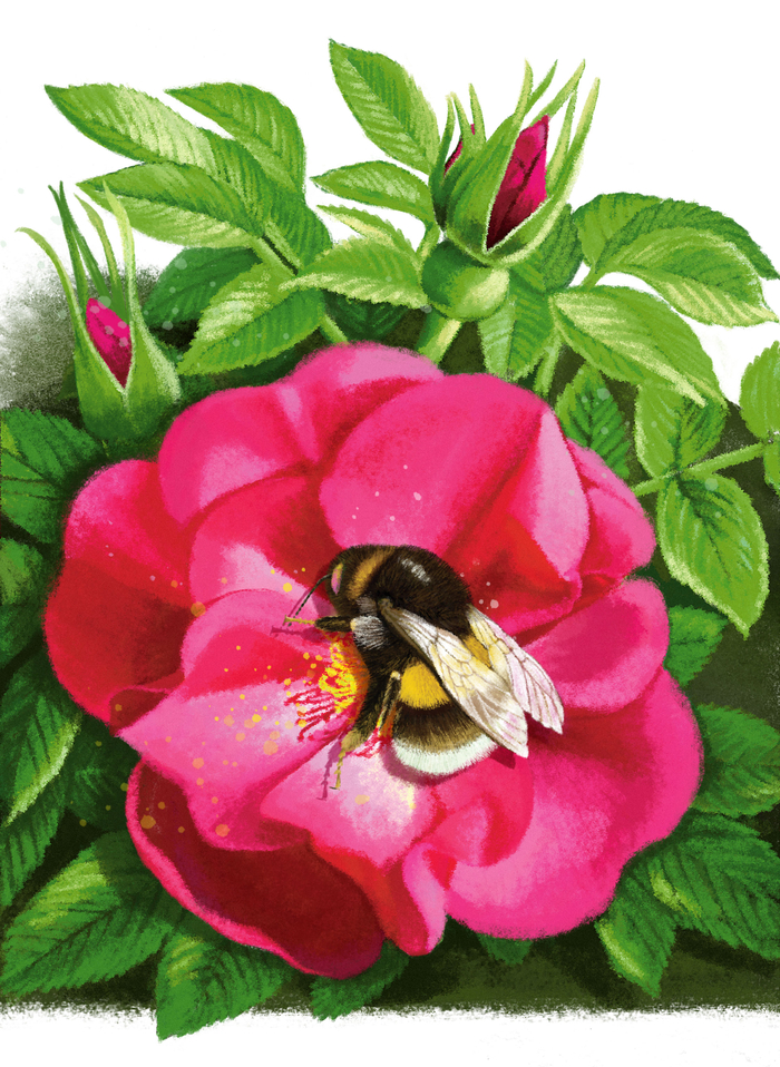 Ирина Гурина "Счастливый шмель"