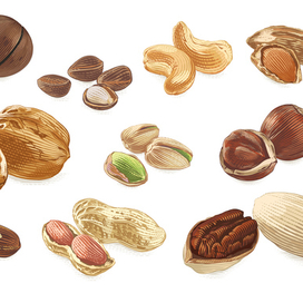 Орехи