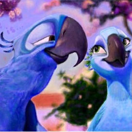 Попугайчики из "Рио"