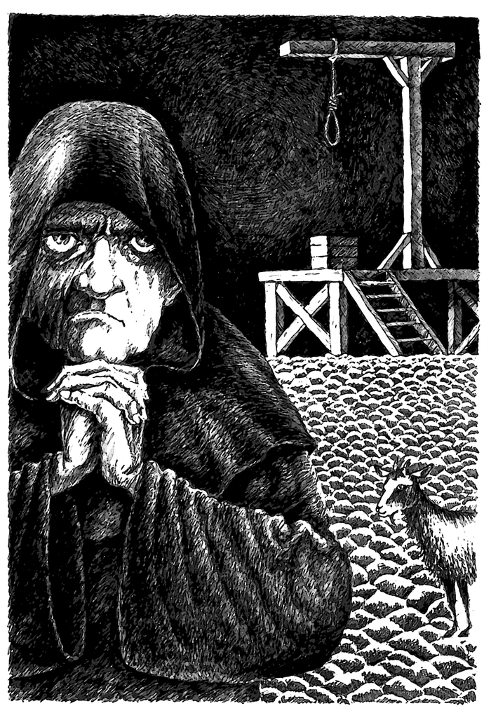 Собор парижской богоматери, иллюстрация