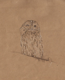 Финал конкурса изобразительного искусства о дикой природе «Золотая Черепаха»: "Хитрюга"