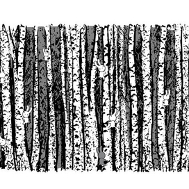 Зайцы на березах