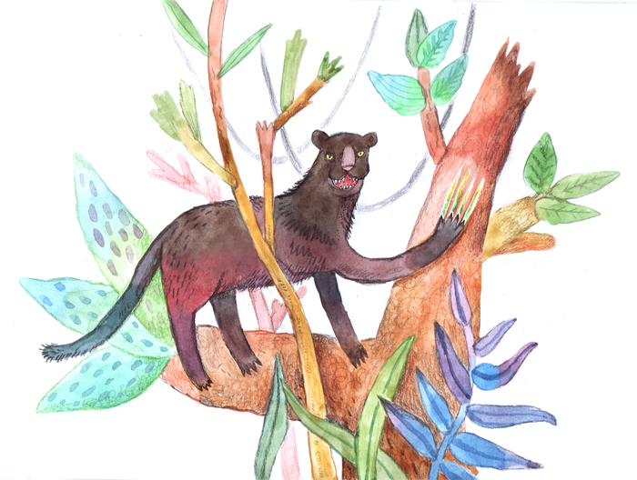 Дерзкий пантер