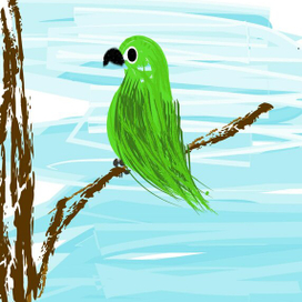 Попугай Поппа