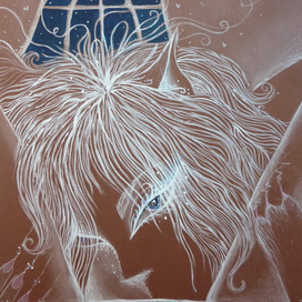 Кошка всегда найдет лучшее место в доме