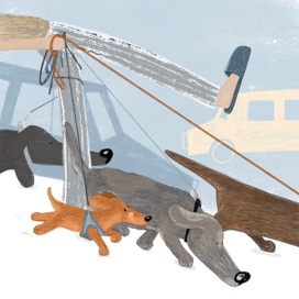 На прогулке