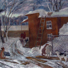 Жизнь в приюте