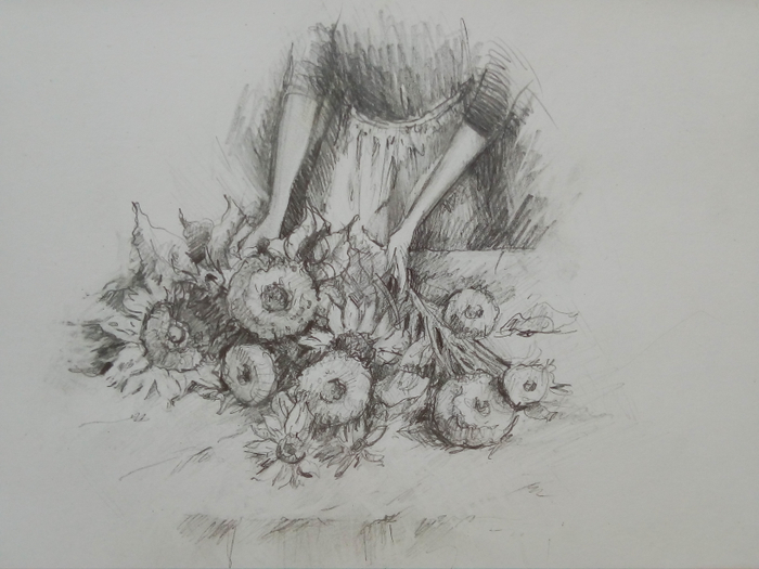 Подсолнухи