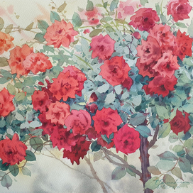 В саду Красной Королевы