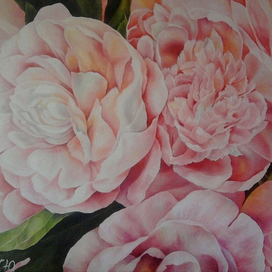 В лепестках пионов