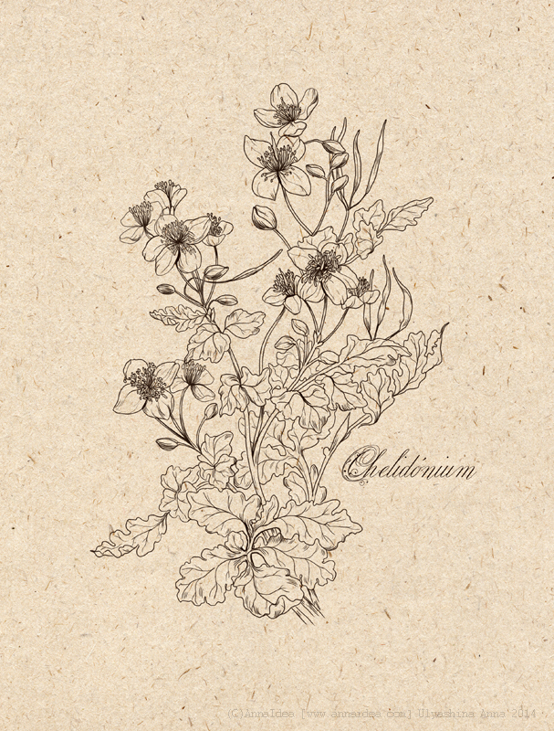 ЧИСТОТЕЛ (иллюстрация для упаковки)