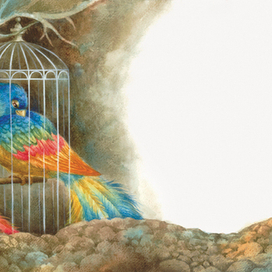 "За птицей радости" Сказка