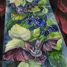 летучие мыши