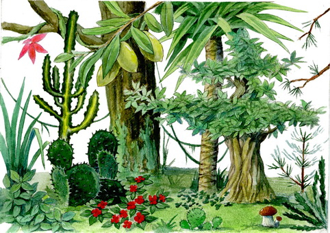 Рисунок к учебнику