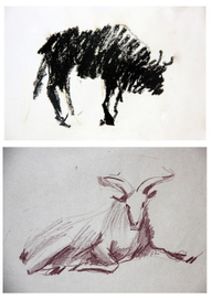 Наброски животных