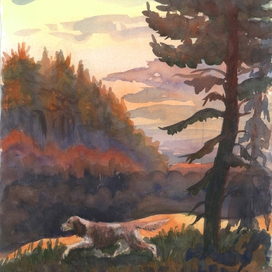 К рассказам Пришвина