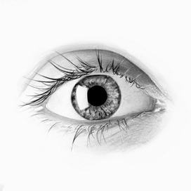Глаз