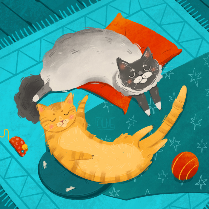 Котики моей мамы