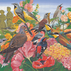 Наши птички