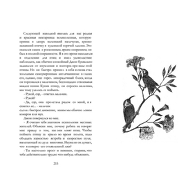 Нектарницы