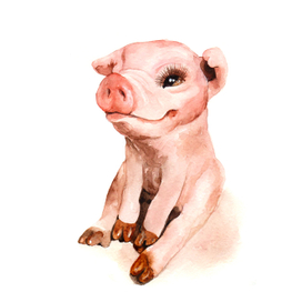 Иллюстрация Хрюшка