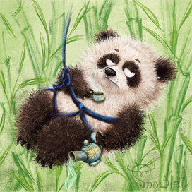 Панда Андрей