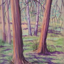 Сказки леса