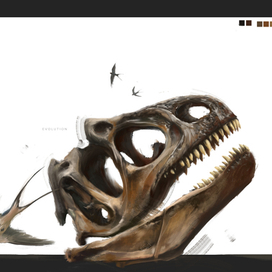 Evolution is not a matter of someone's opinion