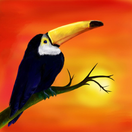 Тропический тукан