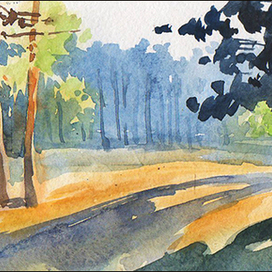 Утро в лесу