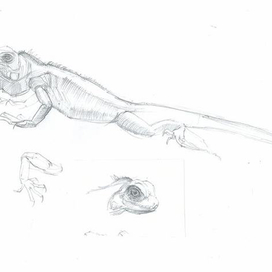 набросок с натуры