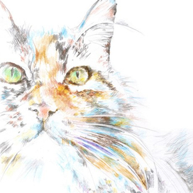 Портрет кошки Муси