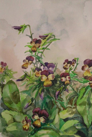 бабушкин сад