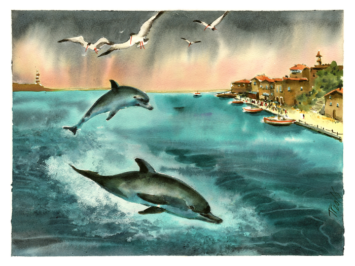 Чайкам рыбы не дадим!