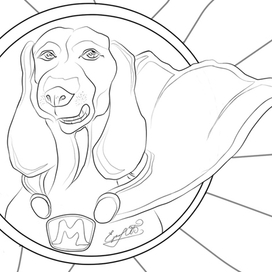  Гипертакса Макс