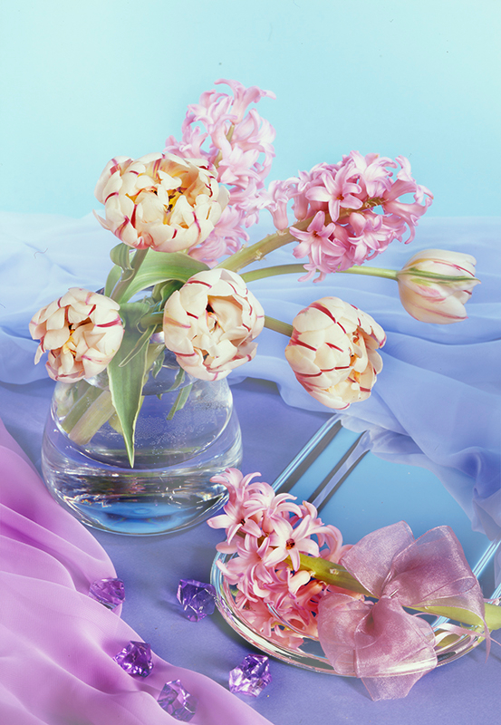 Полосатые тюльпаны