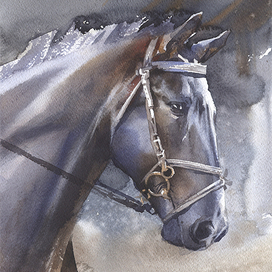 "Вороной конь"