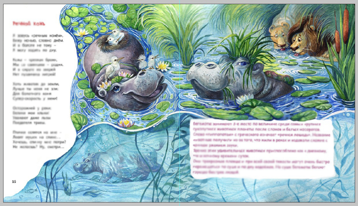 Бегемотики